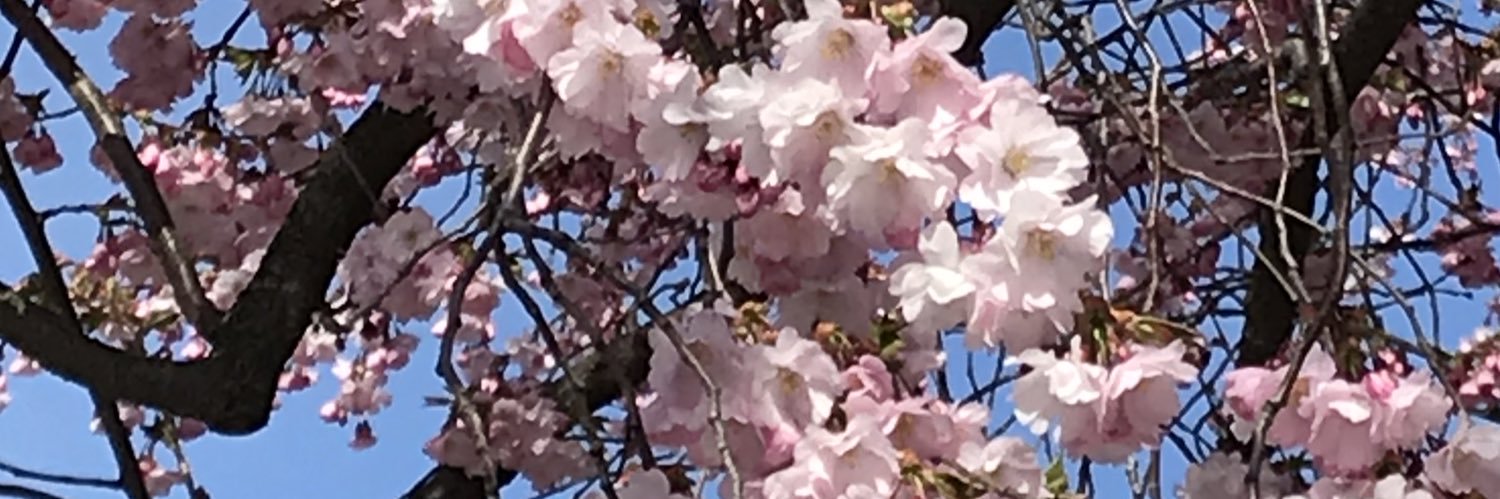 MarieFagrell's profile banner image