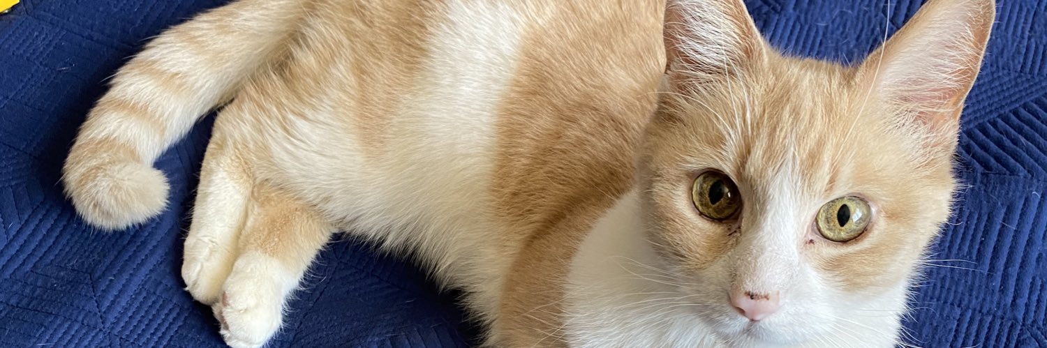 eddalmarmo's profile banner image