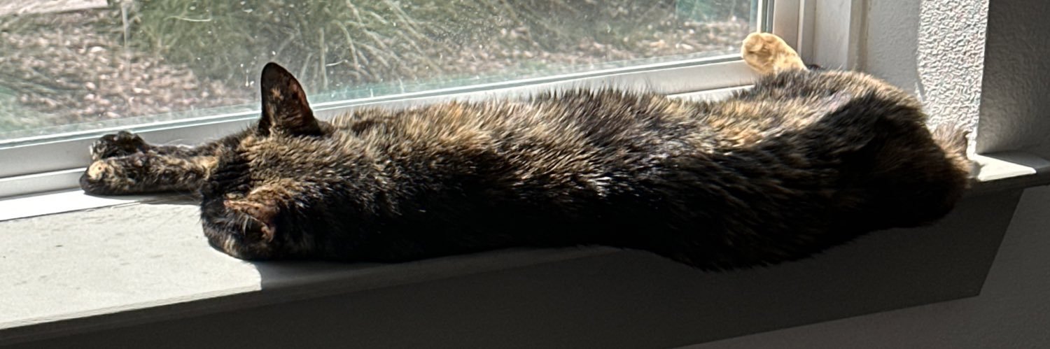 noodledoodlebug's profile banner image