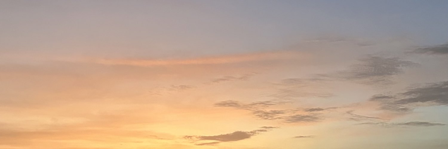 yesiresev's profile banner image
