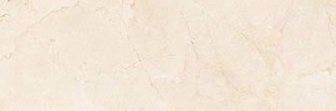 palomamond's profile banner image