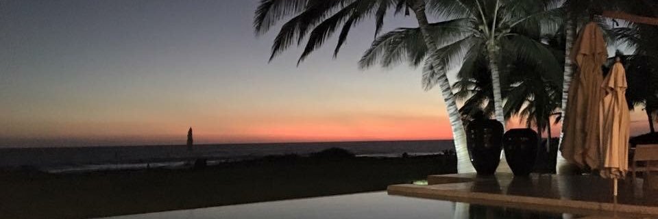 cocogatica's profile banner image