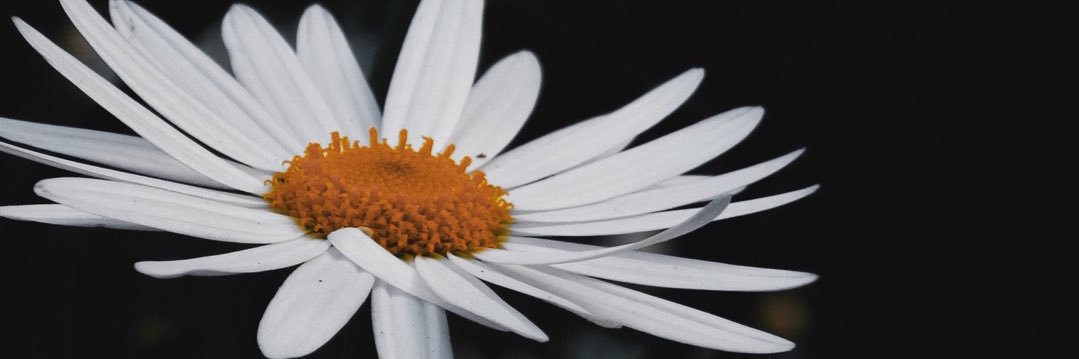 Jerissaaaa's profile banner image