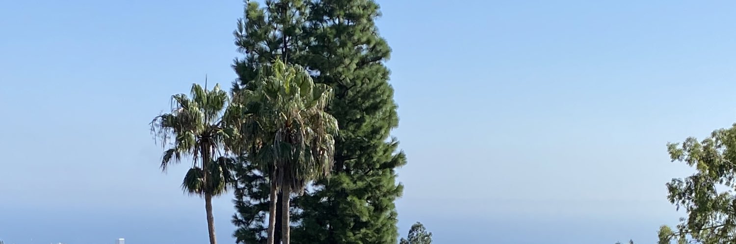 soloflow's profile banner image