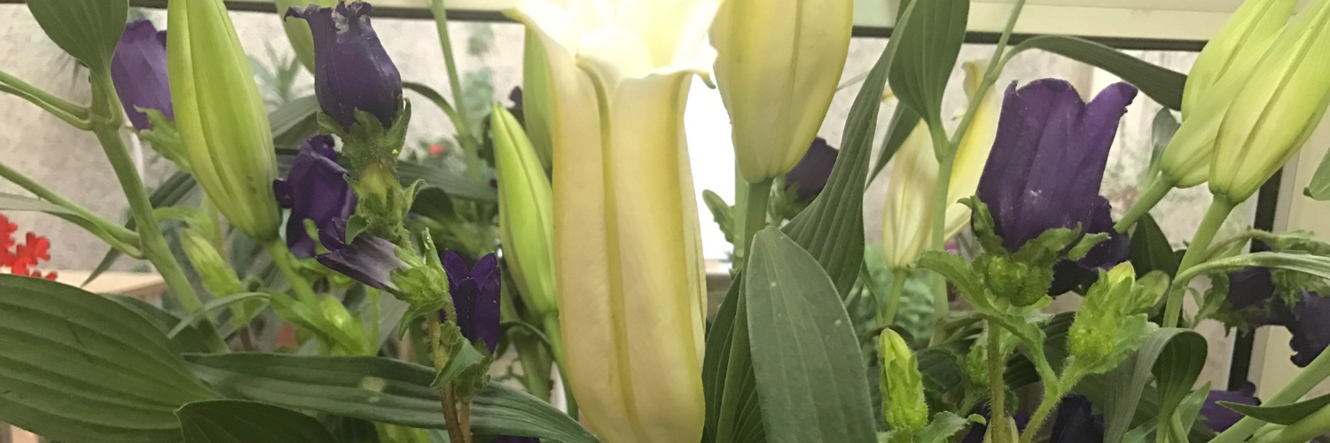 Ingritabar's profile banner image