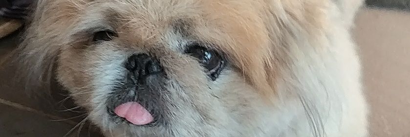 toitom_313's profile banner image