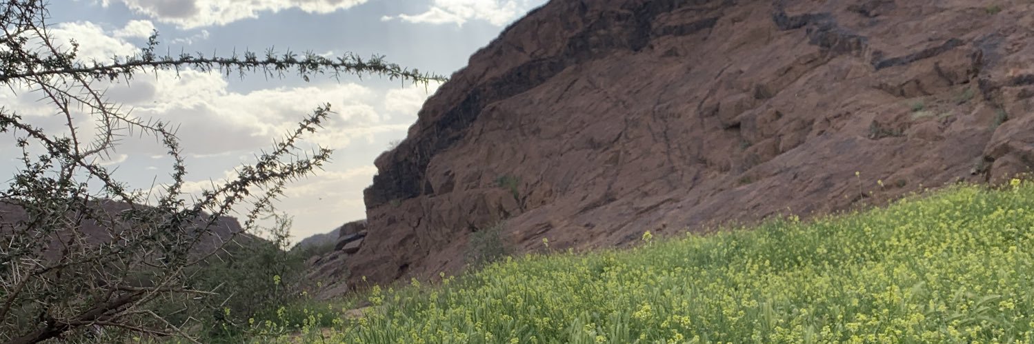 maged banner