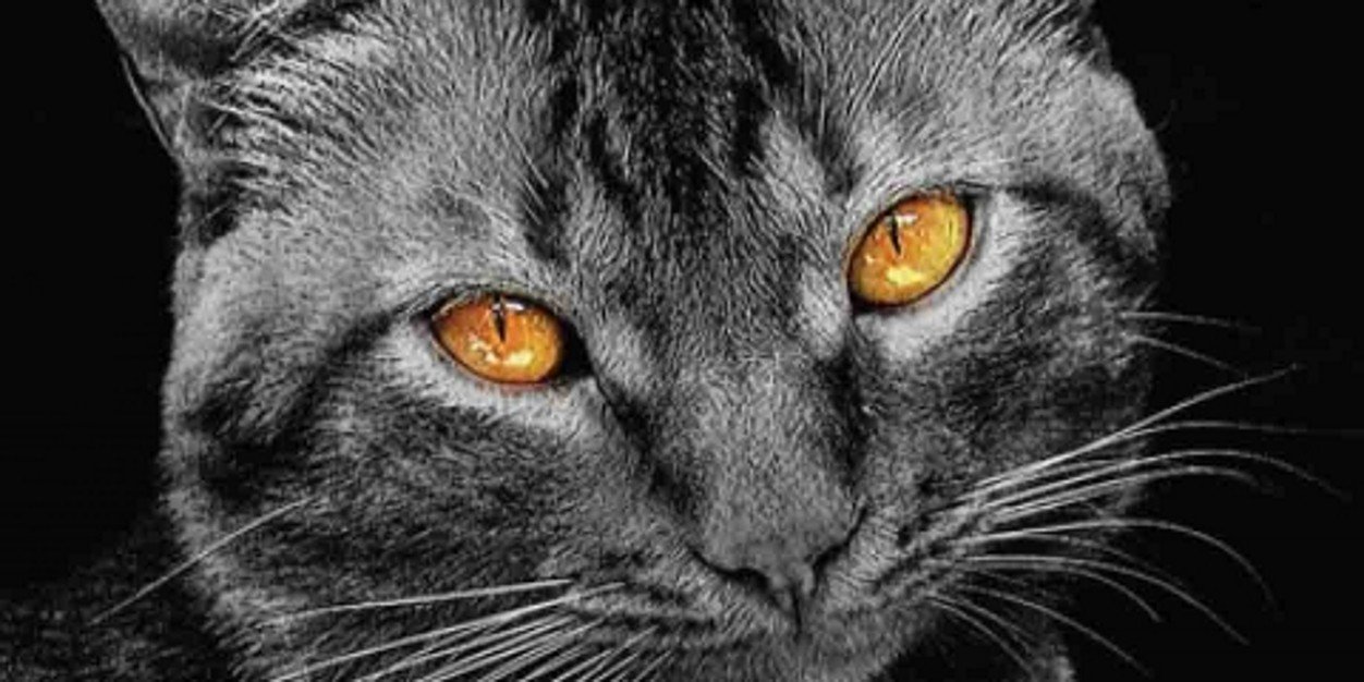 benjas1977's profile banner image