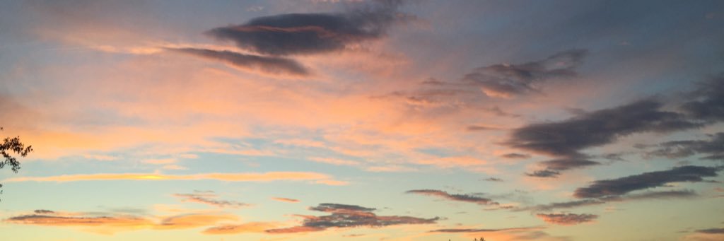 emmamontesi's profile banner image