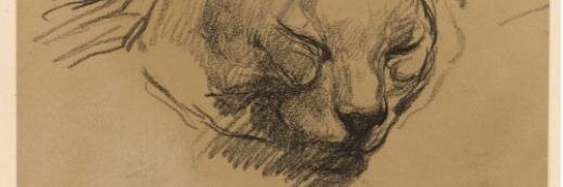 netjer74's profile banner image