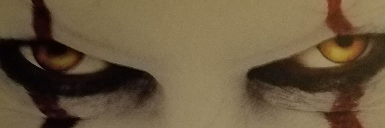 FdturnerFrank's profile banner image