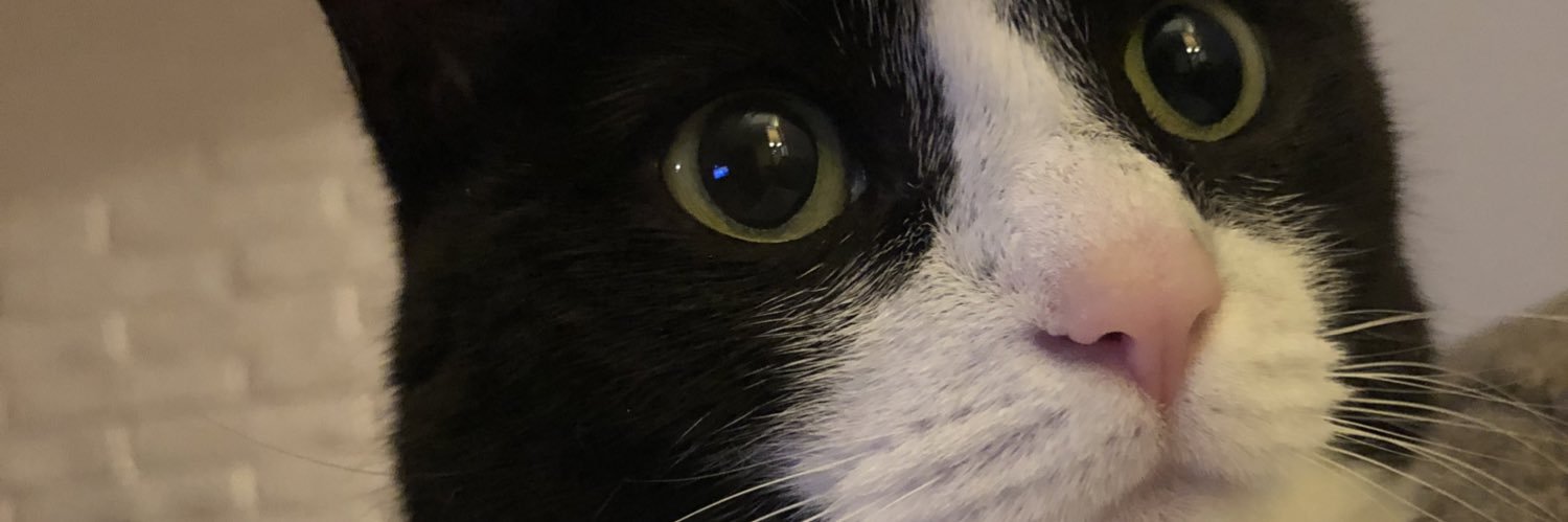 SarahQuals's profile banner image