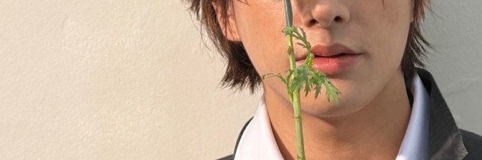 MyCaptainLevi_'s profile banner image