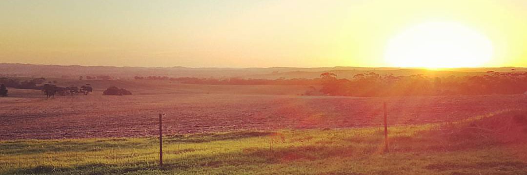 Dr Emily Buddle banner