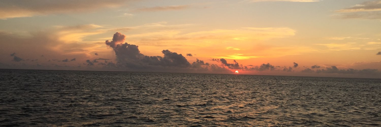 BKRobertsNC's profile banner image