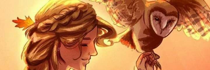 Dreyse's profile banner image