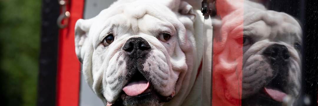 Wash_Rick 🏆🏆 banner