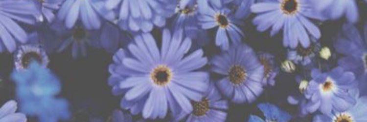 sundazestyles's profile banner image