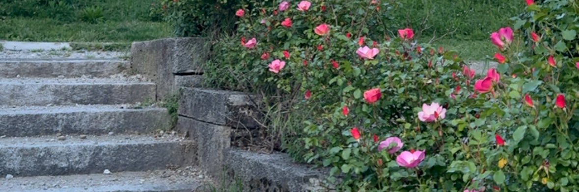 ta_maam's profile banner image