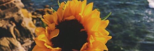 _fhrh's profile banner image