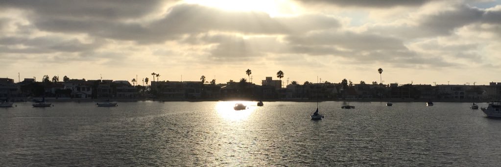 chachox's profile banner image