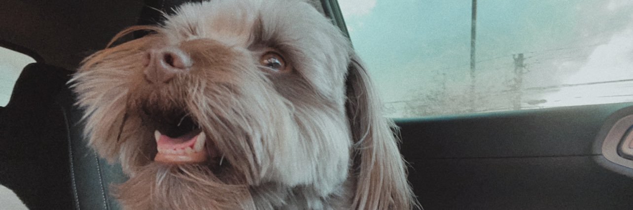 LarvinEllie's profile banner image