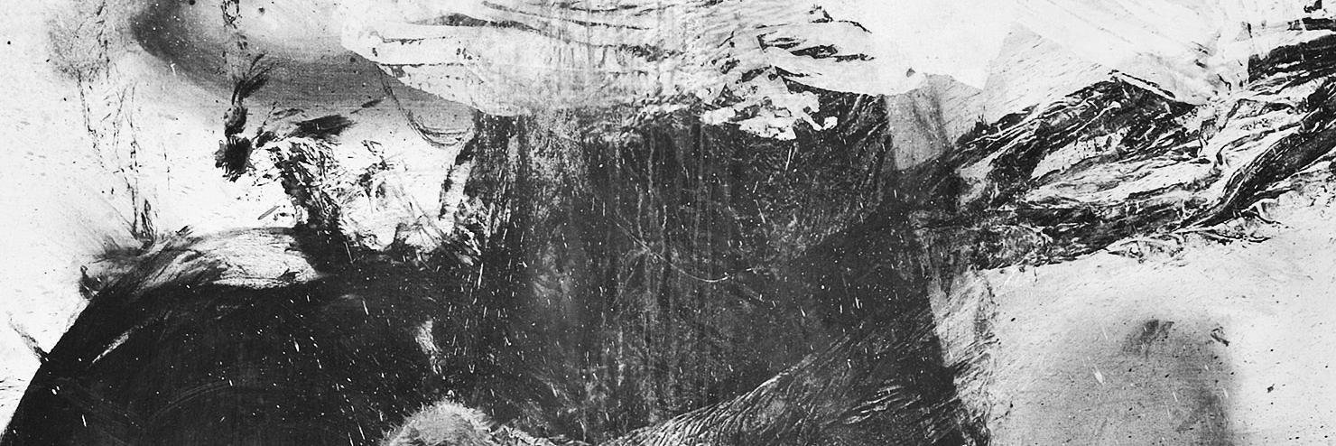 lesbranches_'s profile banner image