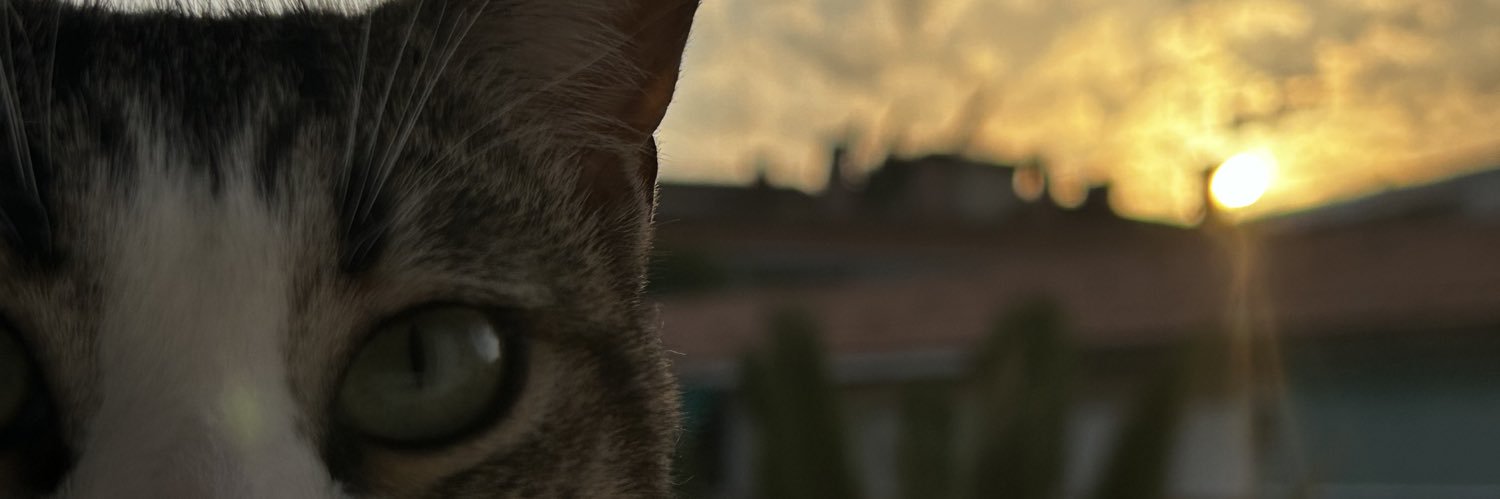 bren_98h's profile banner image
