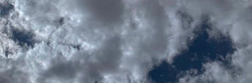 sh banner