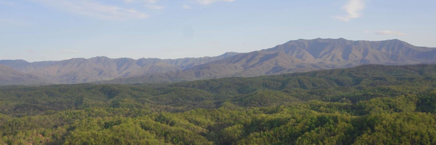 dhodges's profile banner image