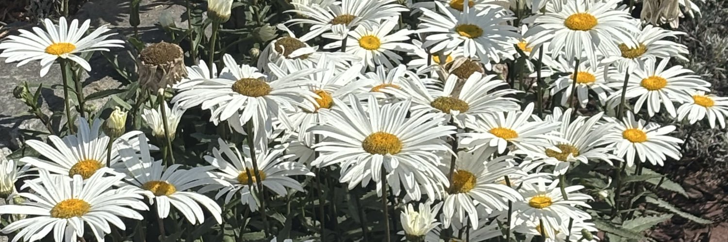 B banner