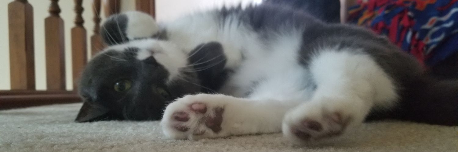 Buffalo Soulja banner