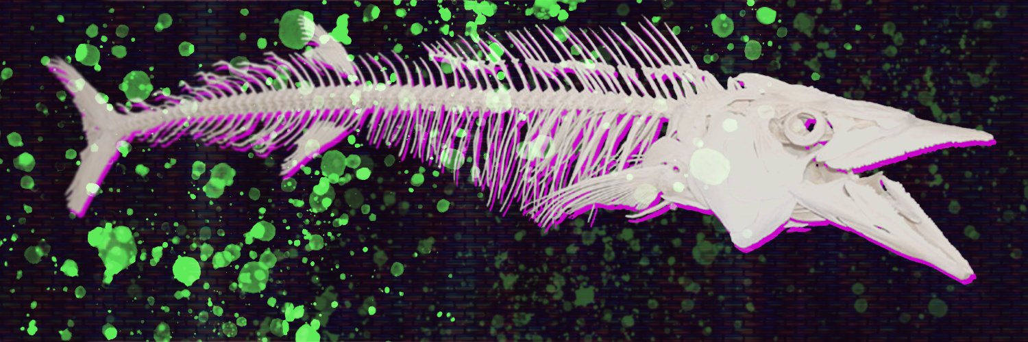 DanFinegold's profile banner image