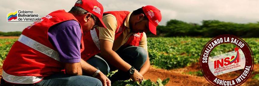INSAI_Zulia's profile banner image