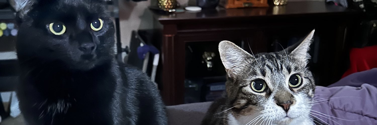 BeanMacCarl's profile banner image
