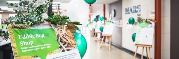 Bugshop1 Profile Banner