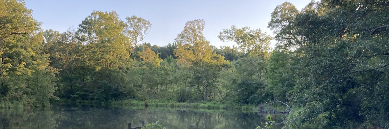 DonnieReb's profile banner image