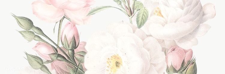 Hannah_Carty11's profile banner image