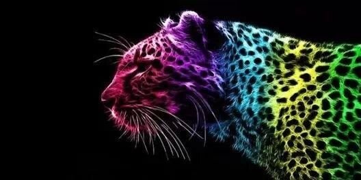 VanessaCano's profile banner image