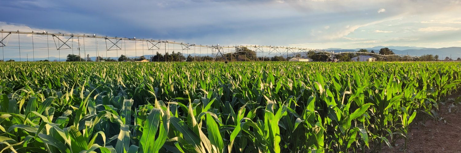 Irrigation Innovation Consortium banner