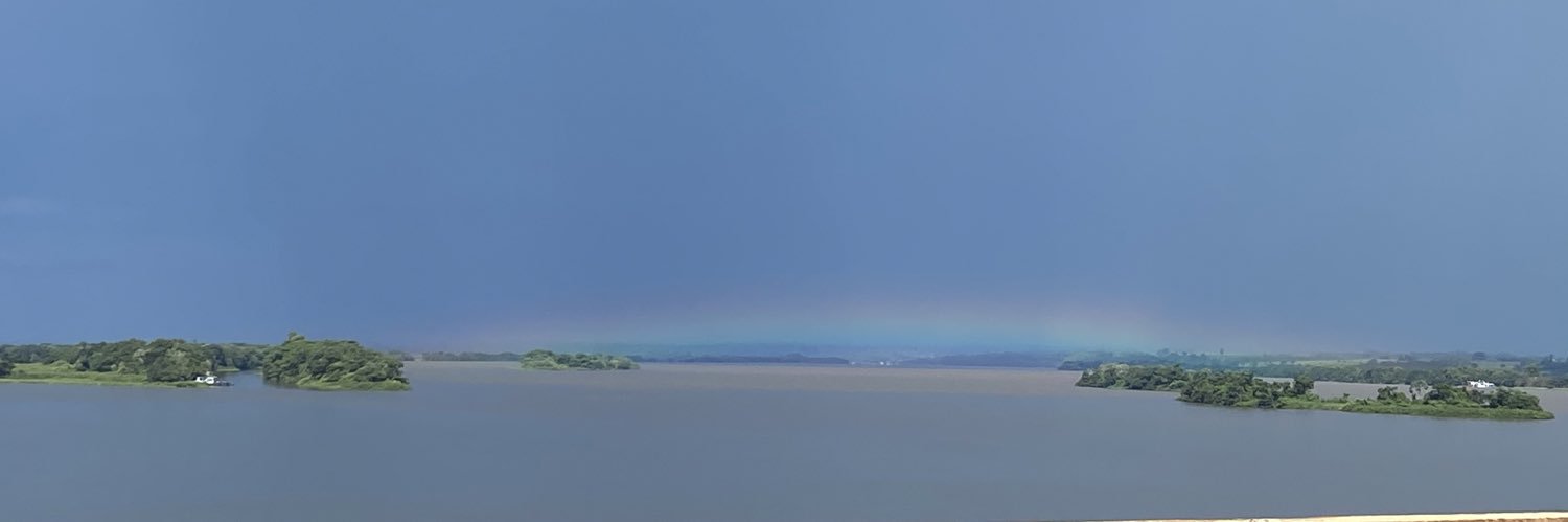 bebisferle's profile banner image