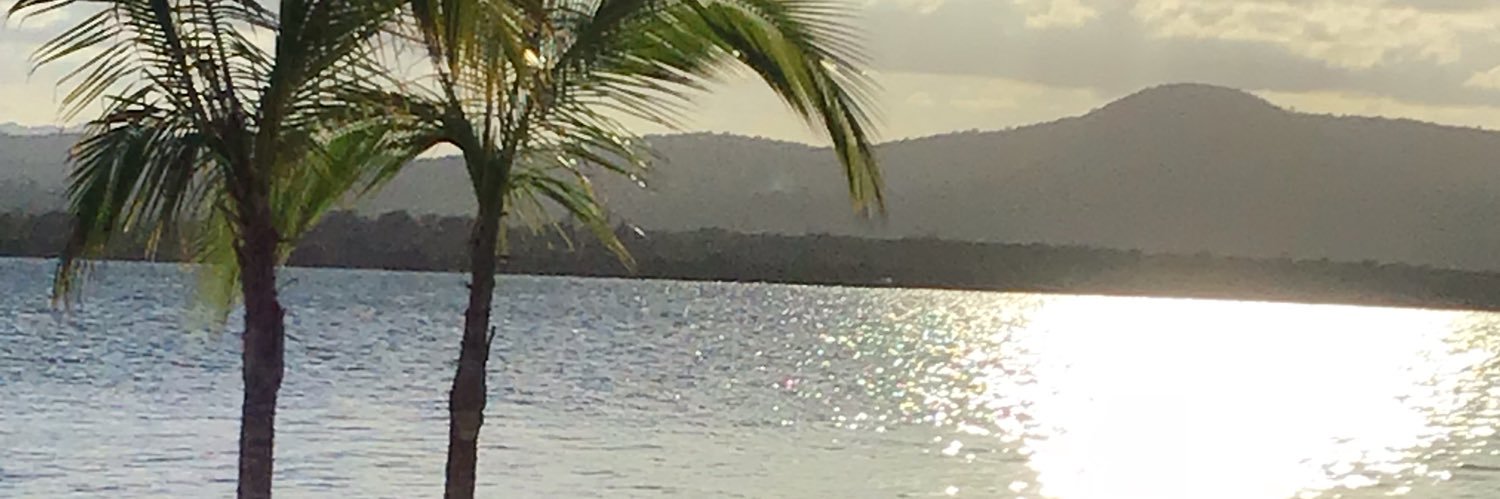 JoyAllen16's profile banner image