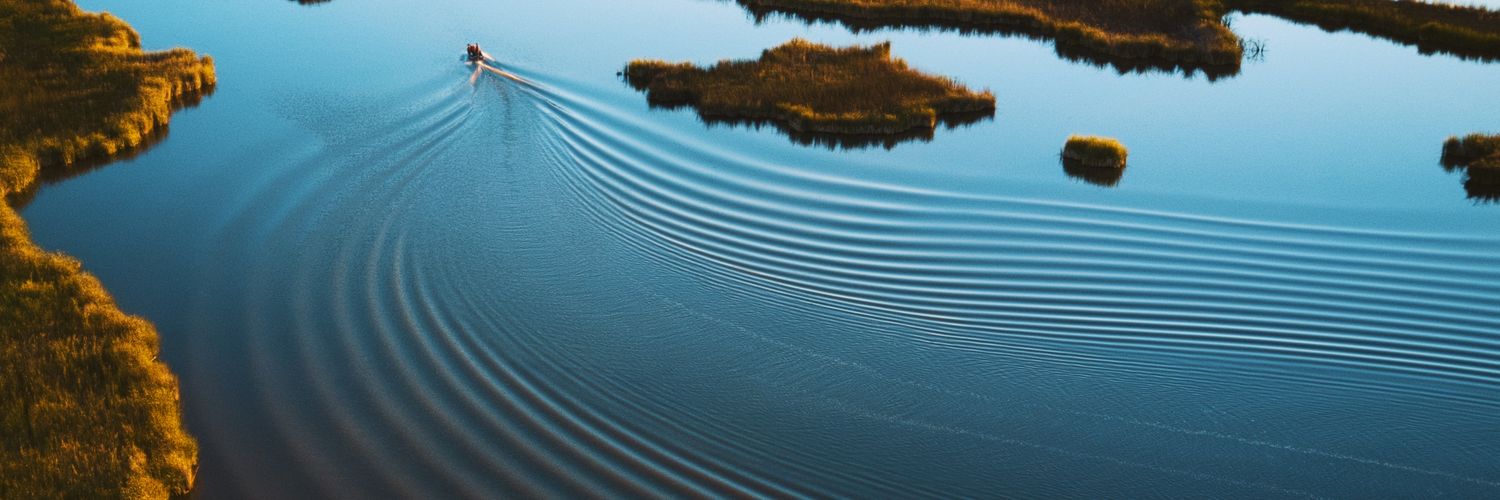 Joshua Timothy banner