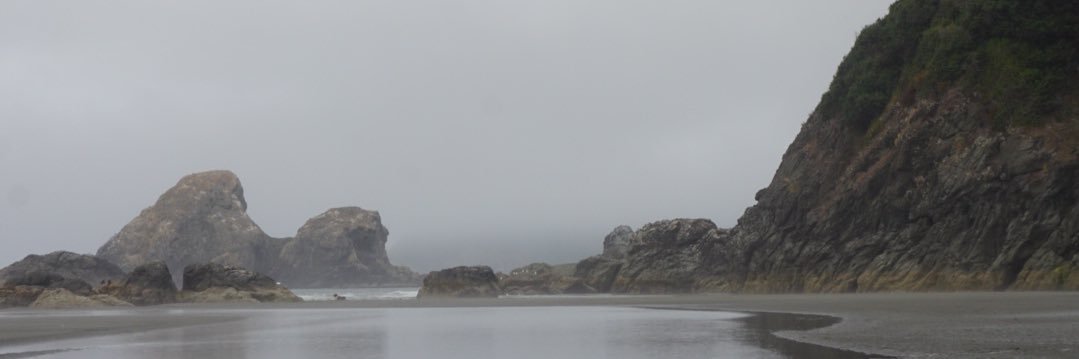 donnydueck's profile banner image