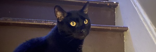 theethanhuffman Profile Banner