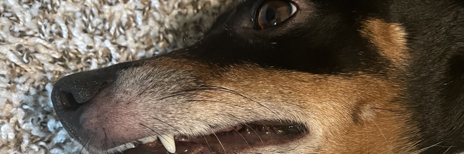 Chelseeaaak's profile banner image