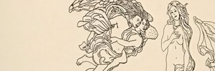 debolhas's profile banner image
