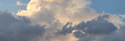 Franneh_Fran's profile banner image