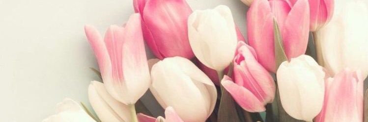 antoniaem's profile banner image
