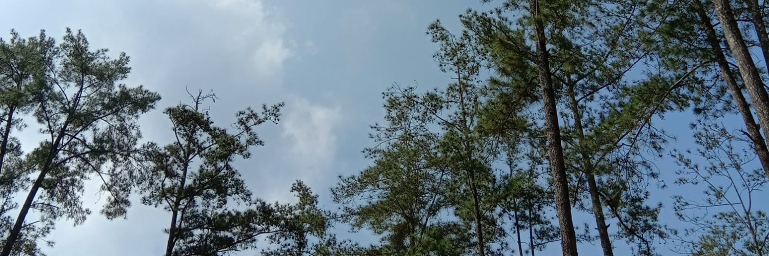 dita_ericas's profile banner image